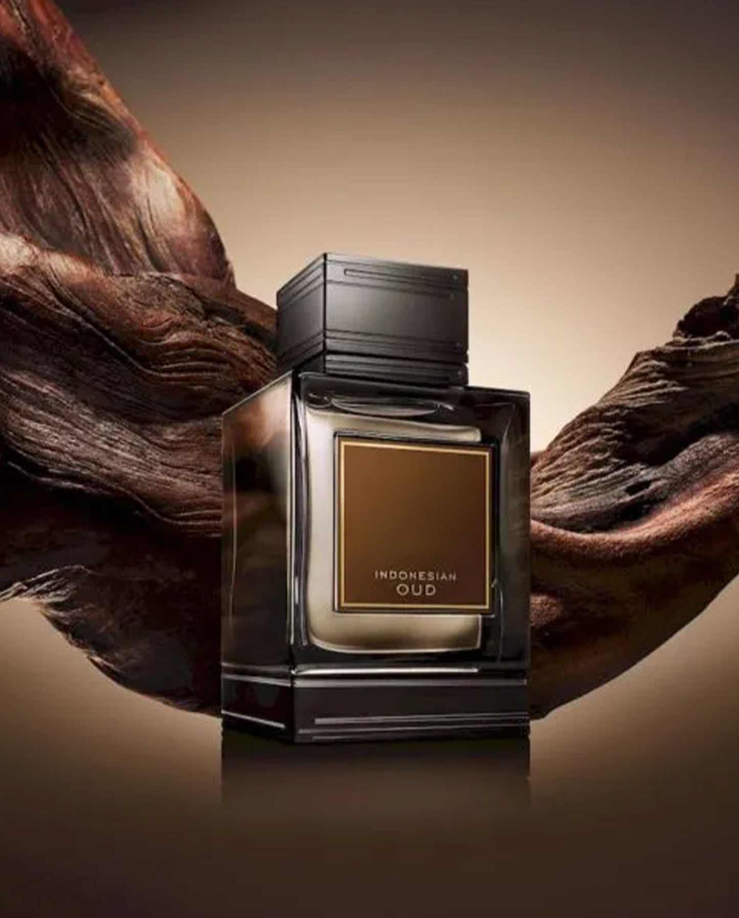 Decoded #015 Inspired by Zegna Indonesian Oud - Extrait de parfum, 50ml